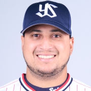 阪神 vs ヤクルト(2026年6月23日) プロ野球｜スポーツ情報はdメニュー