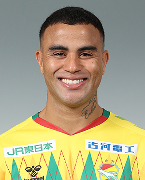 ジェフユナイテッド千葉 カルリーニョス ジュニオ 選手情報 Jリーグ